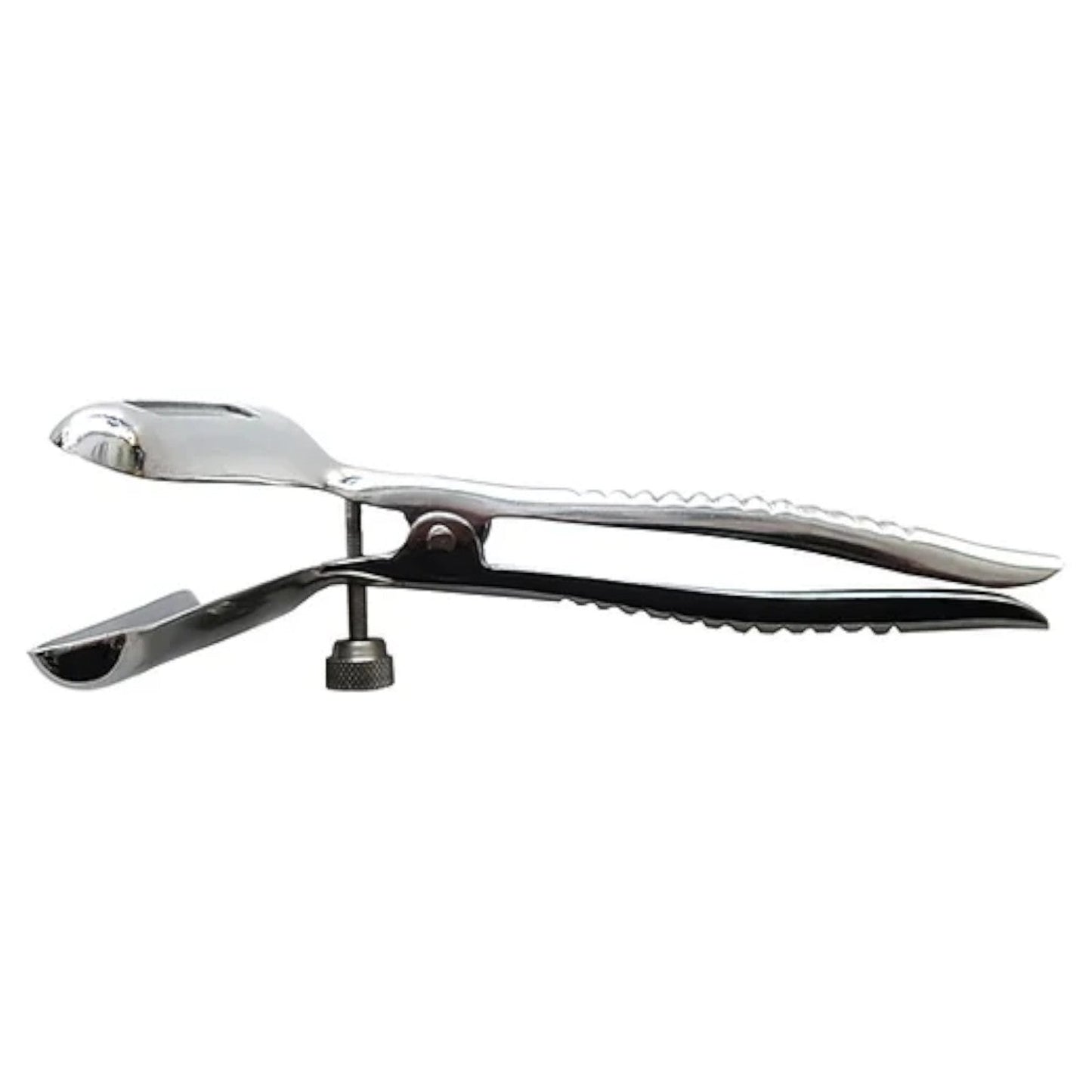 Rouge Stainless Steel Anal Speculum