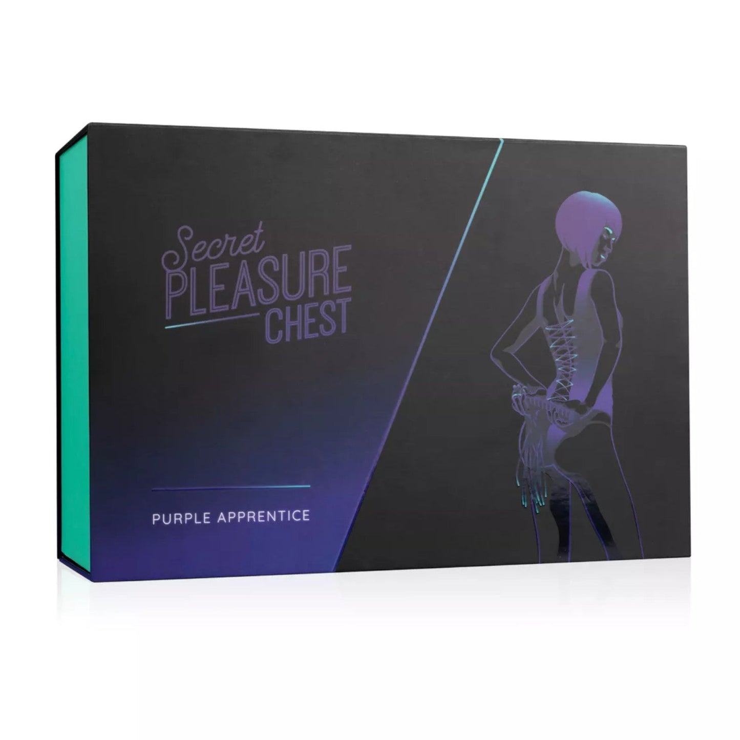 Secret Pleasure Chest Purple Apprentice Bondage Kit Purple