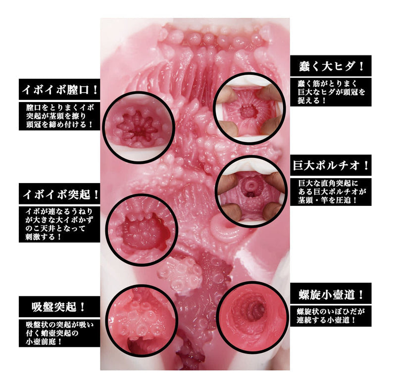 Japan NPG Meiki No. Syoumei 011 Shoko Takahashi Onahole