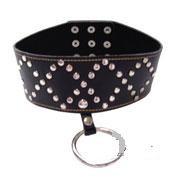 Lightweight Studded Collar With Leash B01