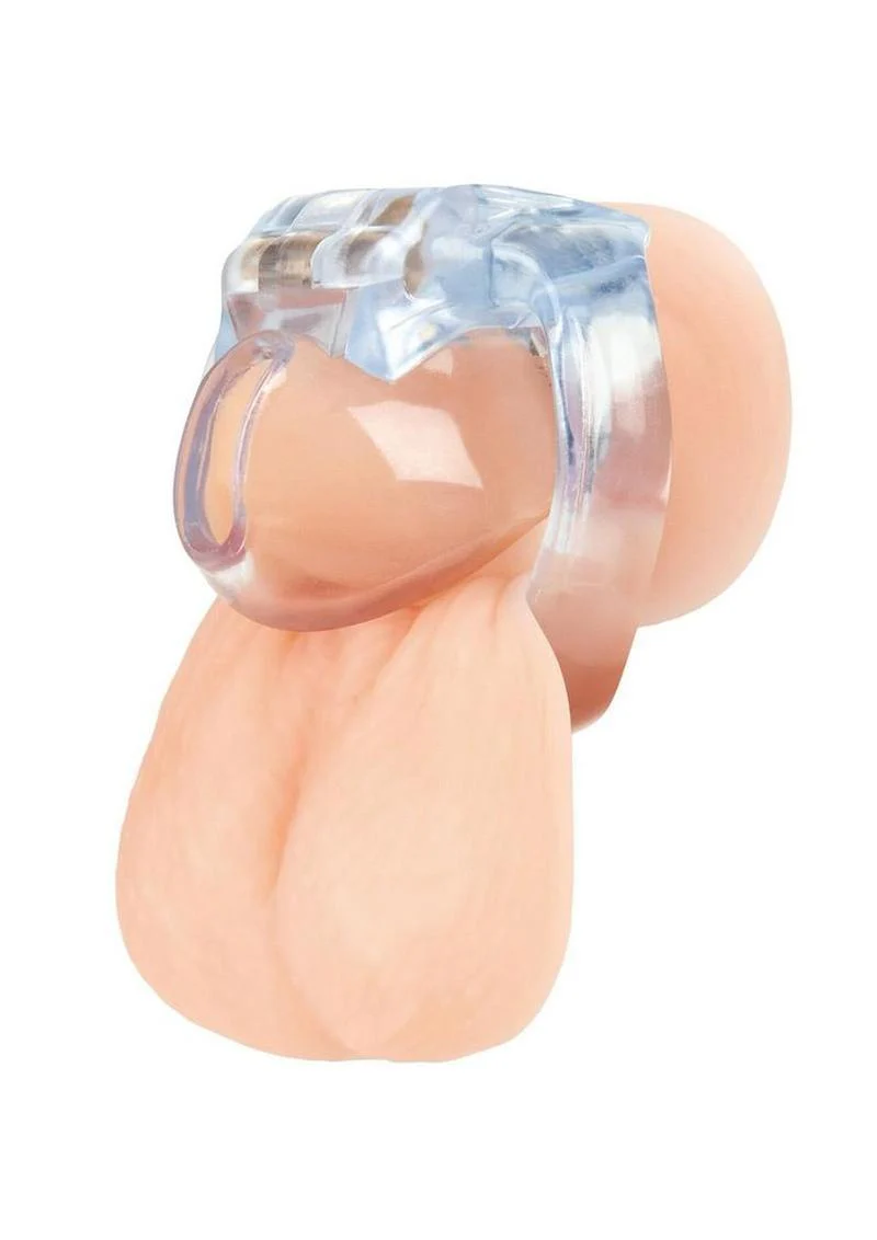 Blue Line Small Dick Acrylic Mini Chastity Cage