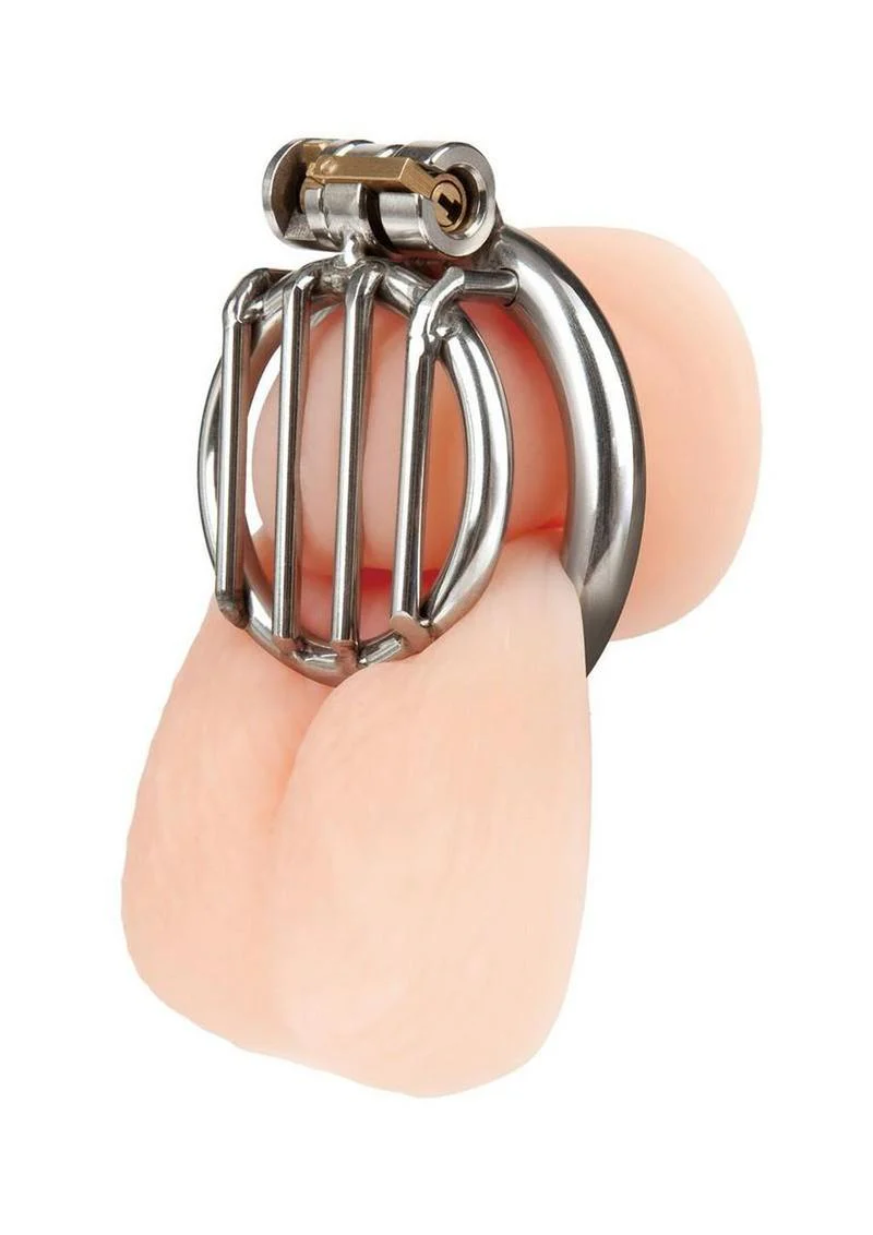 Blue Line Stainless Steel Inverted Micro Jail Time Chastity Cage