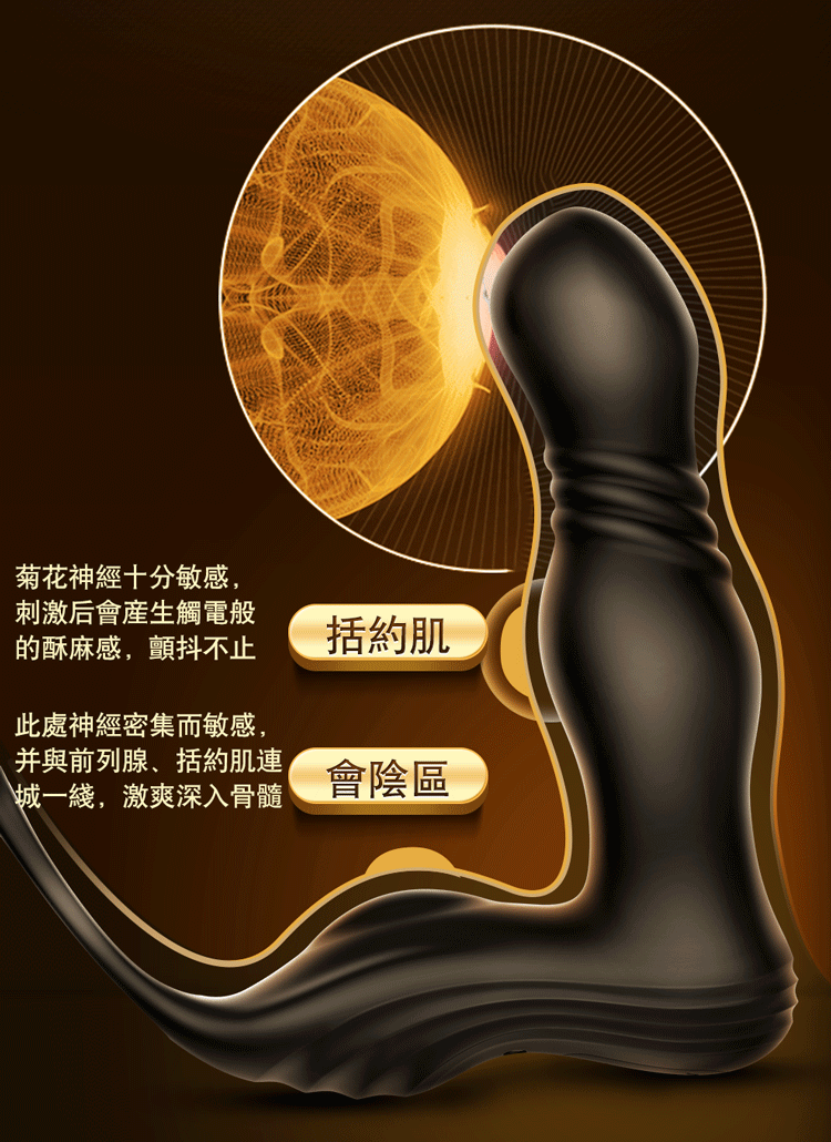 Erocome Sagittarius Remote Prostate Vibrating Massager ( erocome delisted )