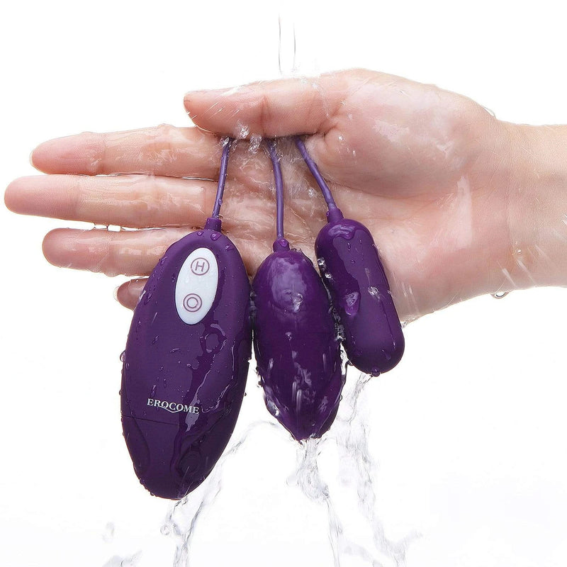 Erocome Lyra Duo Wired Controller Egg Vibrator Purple