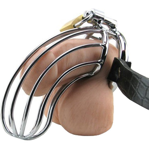 Fetish Fantasy Extreme The Prisoner Chastity Metal Cock Cage with Belt