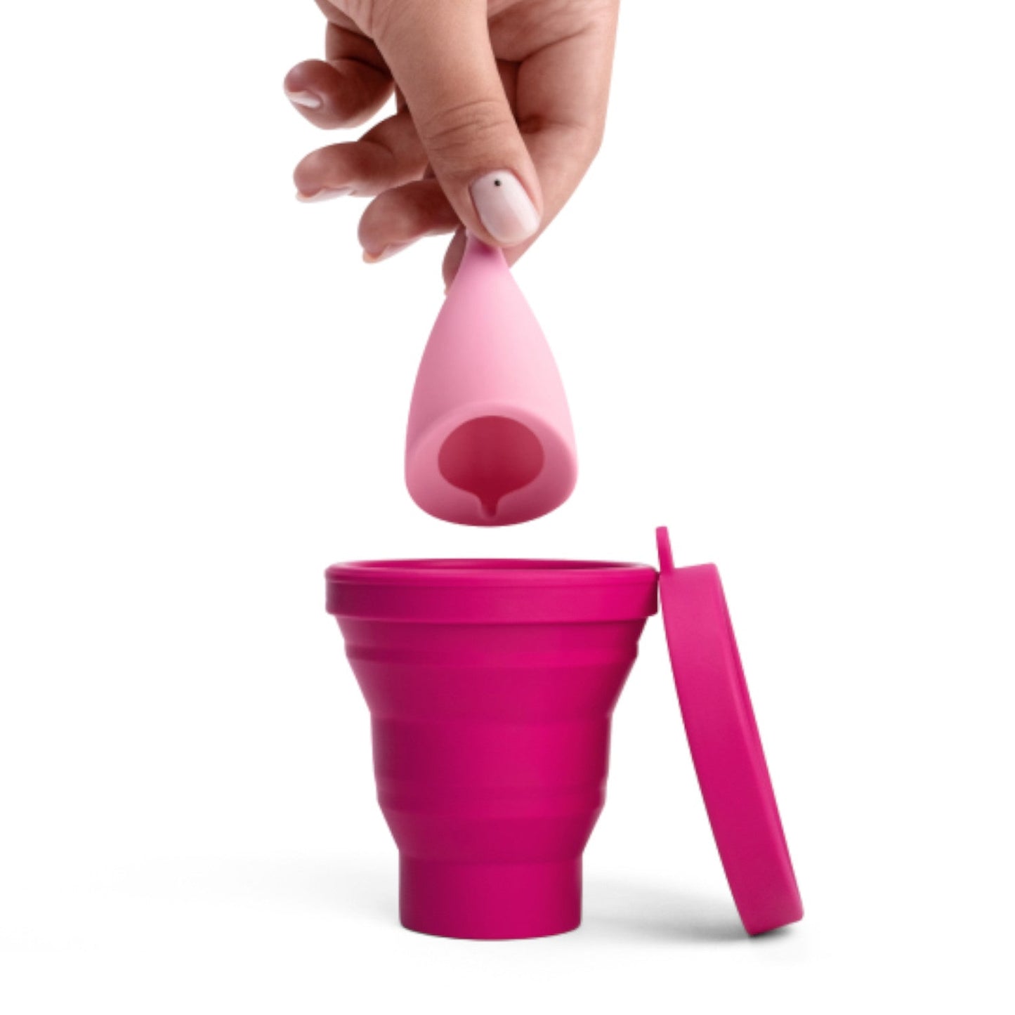 Intimina Collapsible Sterilizing Cup Magenta