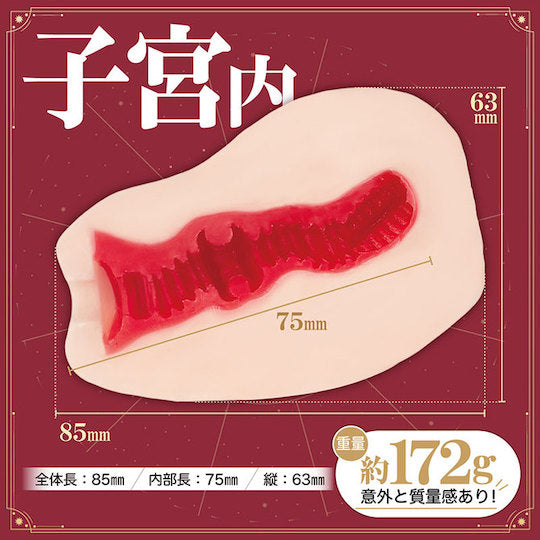 Japan Fuji World Ikuno's Uterus Onahole 172 G