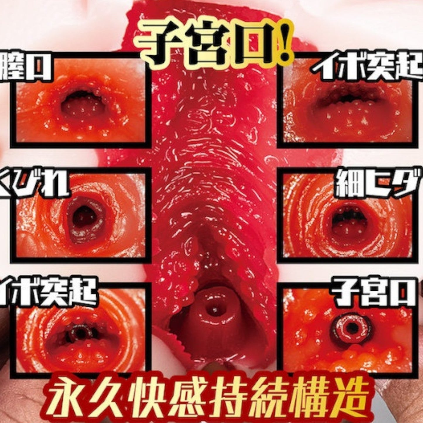 Japan NPG JNPG New Female Teacher Immoral Extracurricular Class Onahole 370 G