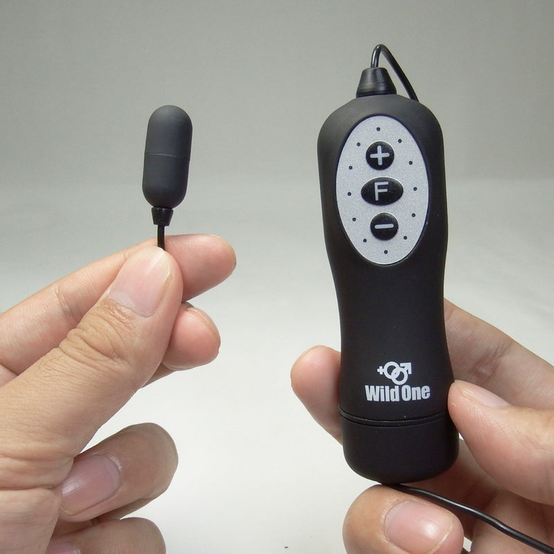 Japan SSI Kuro Rotor R Nano Mini Bullet Egg (Most Popular & Powerful -12K RPM)