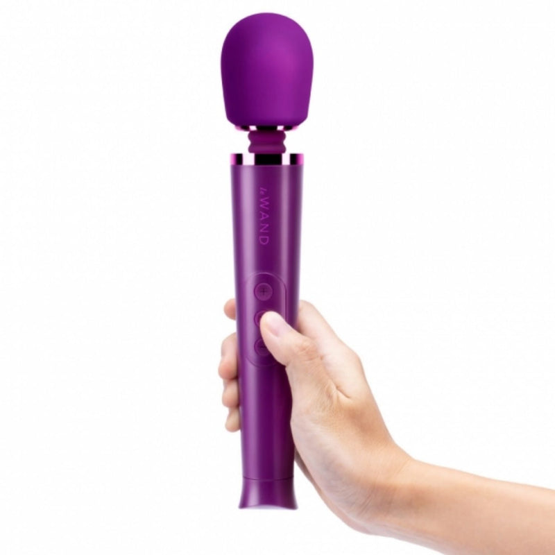 Le Wand Petite USB Rechargeable Vibrating Massager
