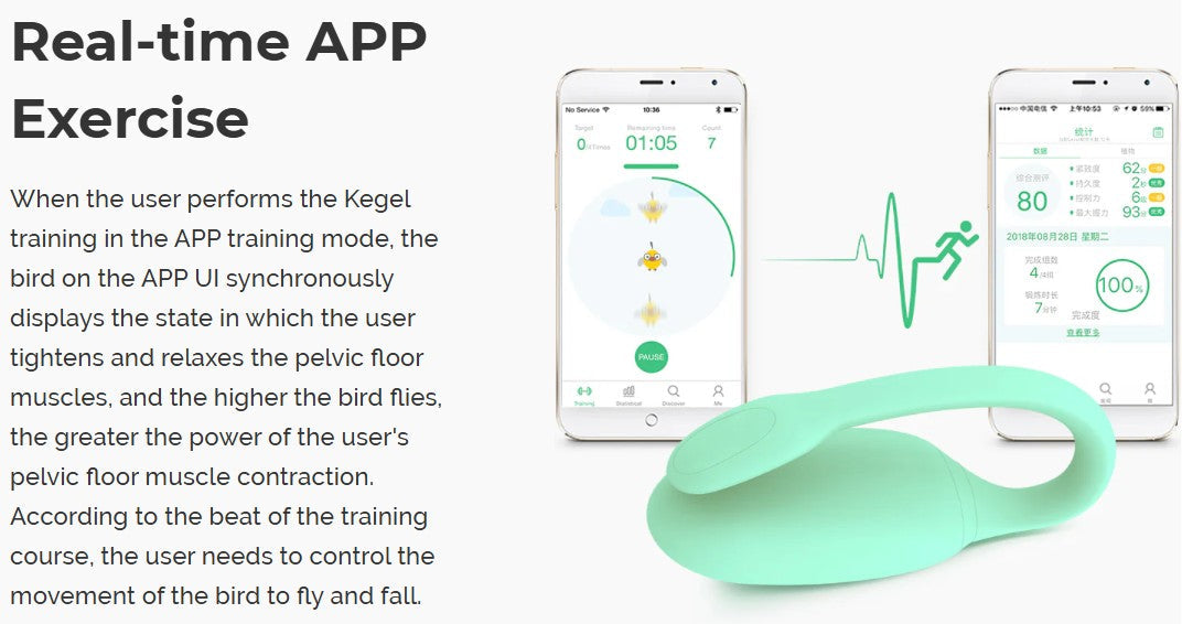 Magic Motion Rejuve FitCute App-Controlled Smart Kegel Trainer