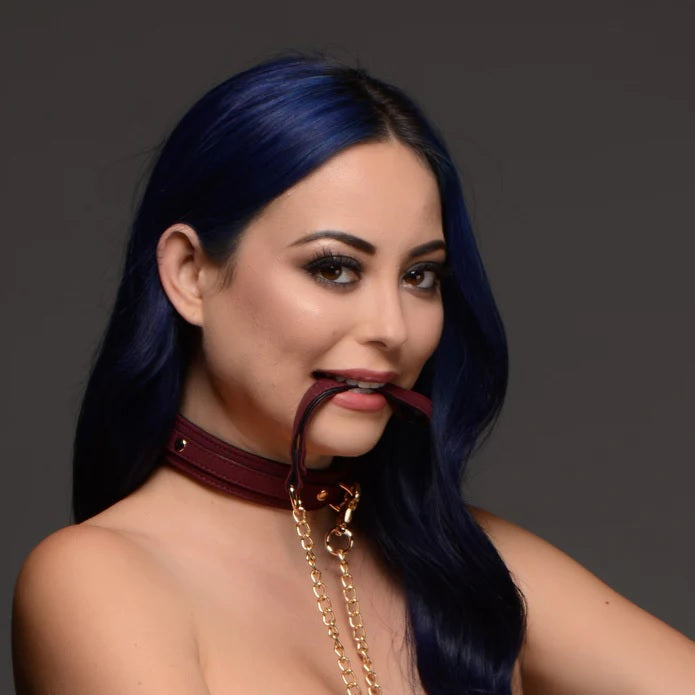 Master Series 6 Piece Velvet Bondage Set Burgundy