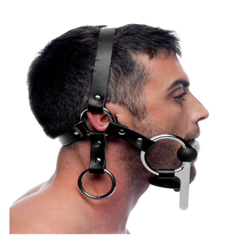 Master Series Steed Silicone Bit and Bridle Head Harness