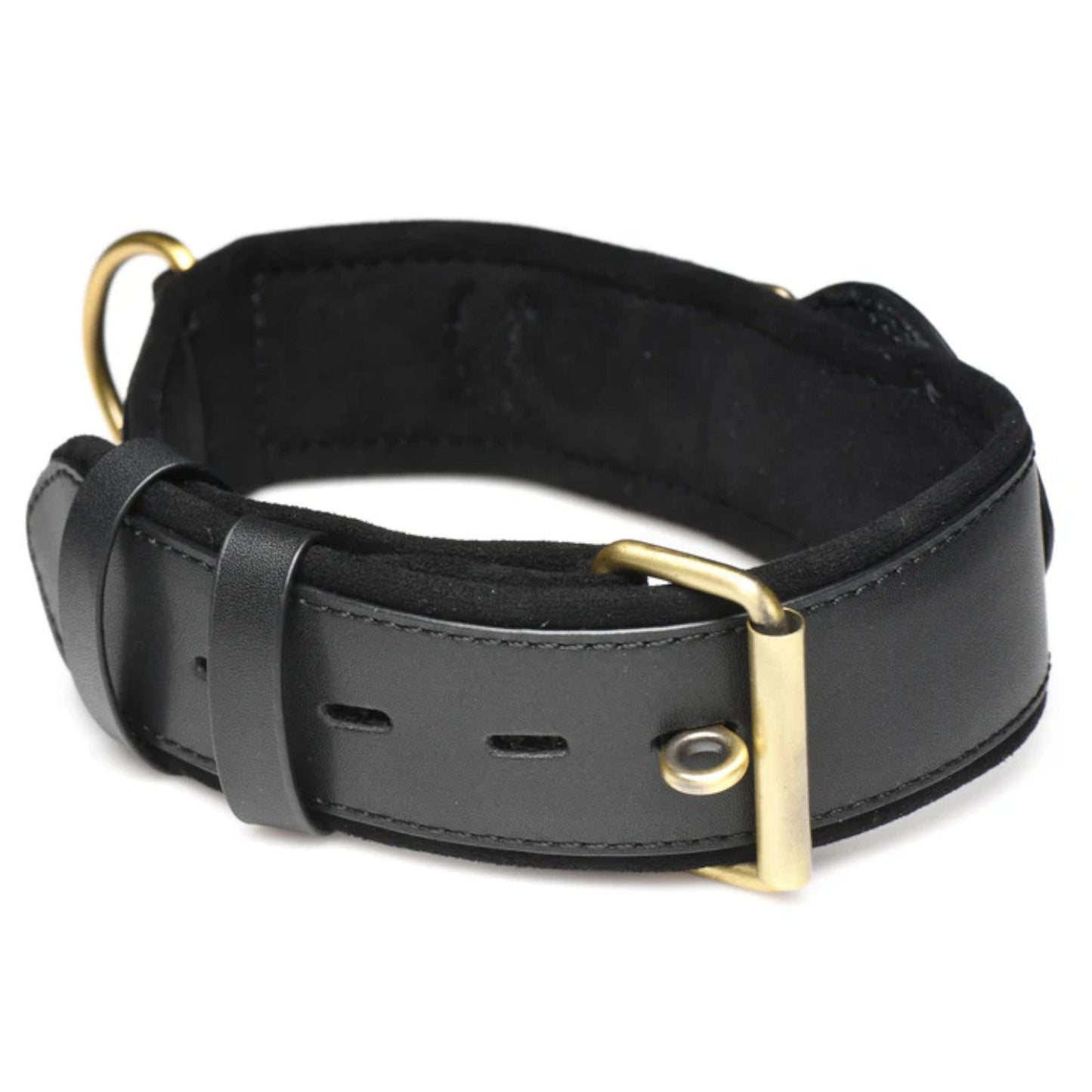 Master Series Tracer Tracking Collar