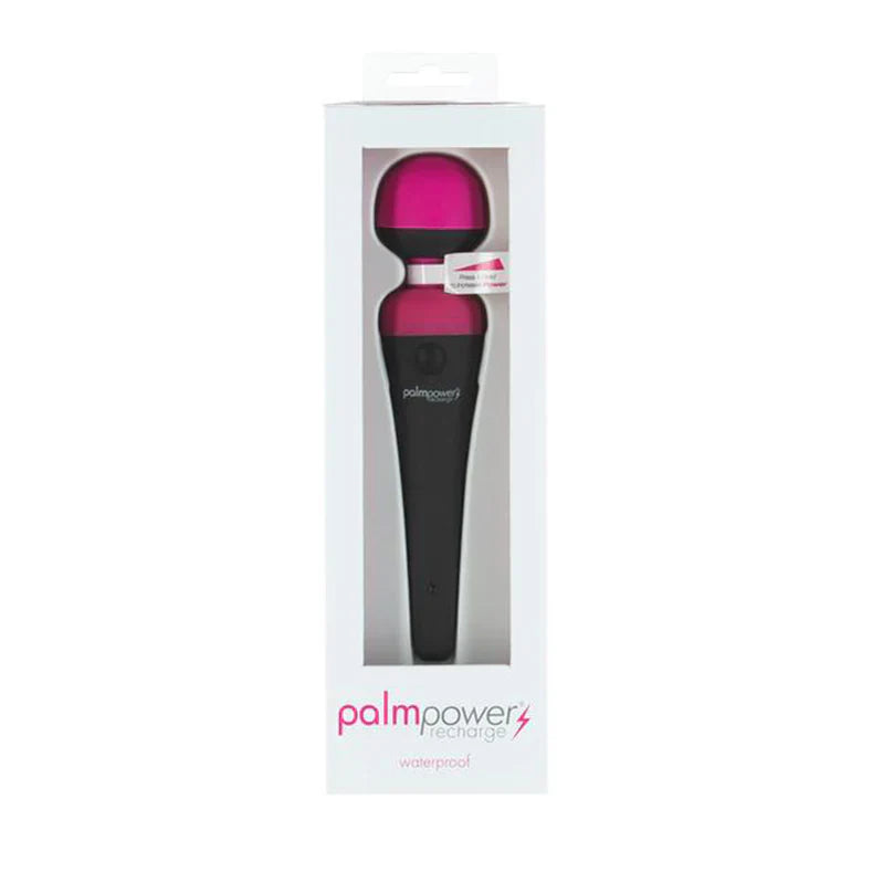 Palmpower Recharge USB Rechargeable Waterproof Massager
