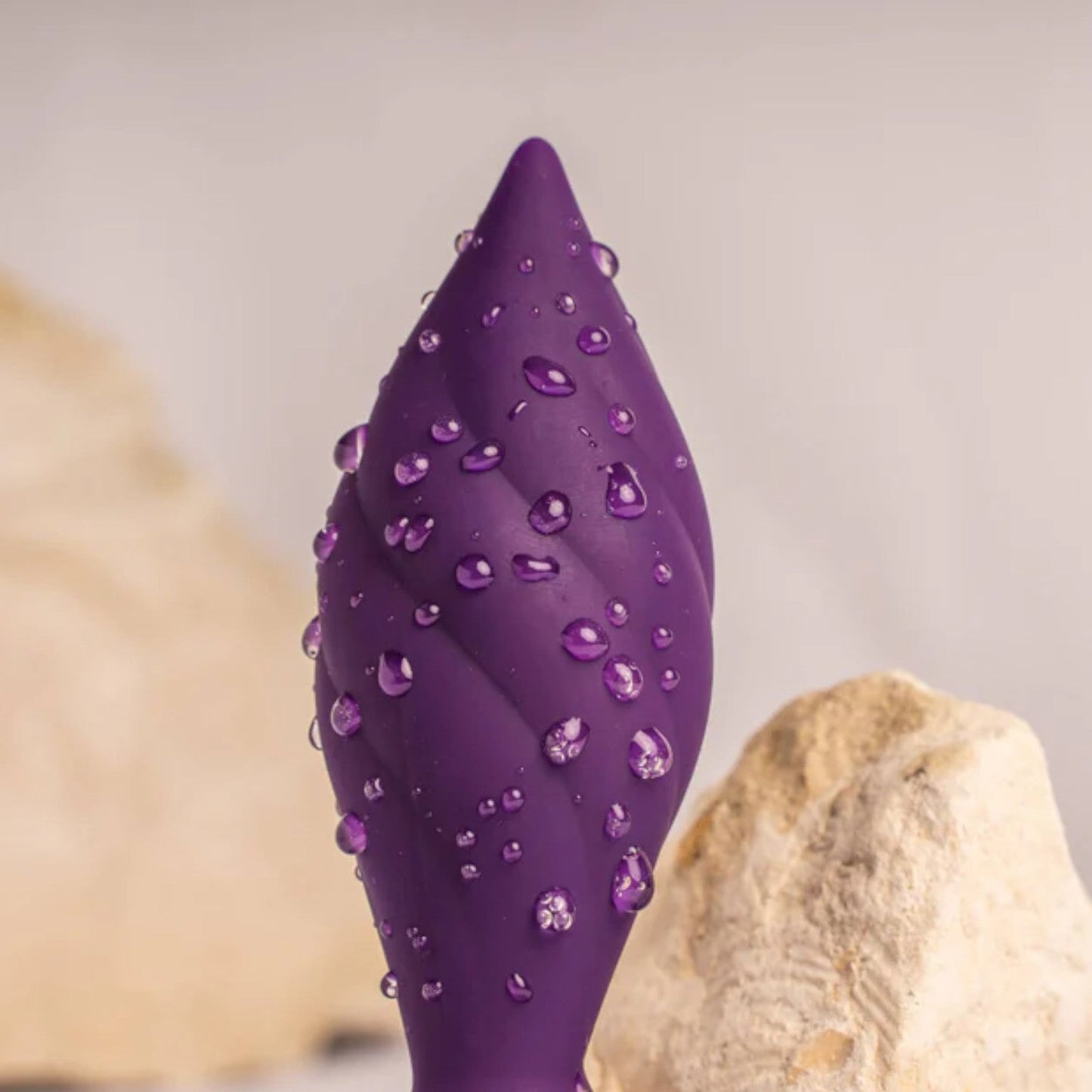 Rocks-Off Petite Sensations Desire Remote Control Butt Plug