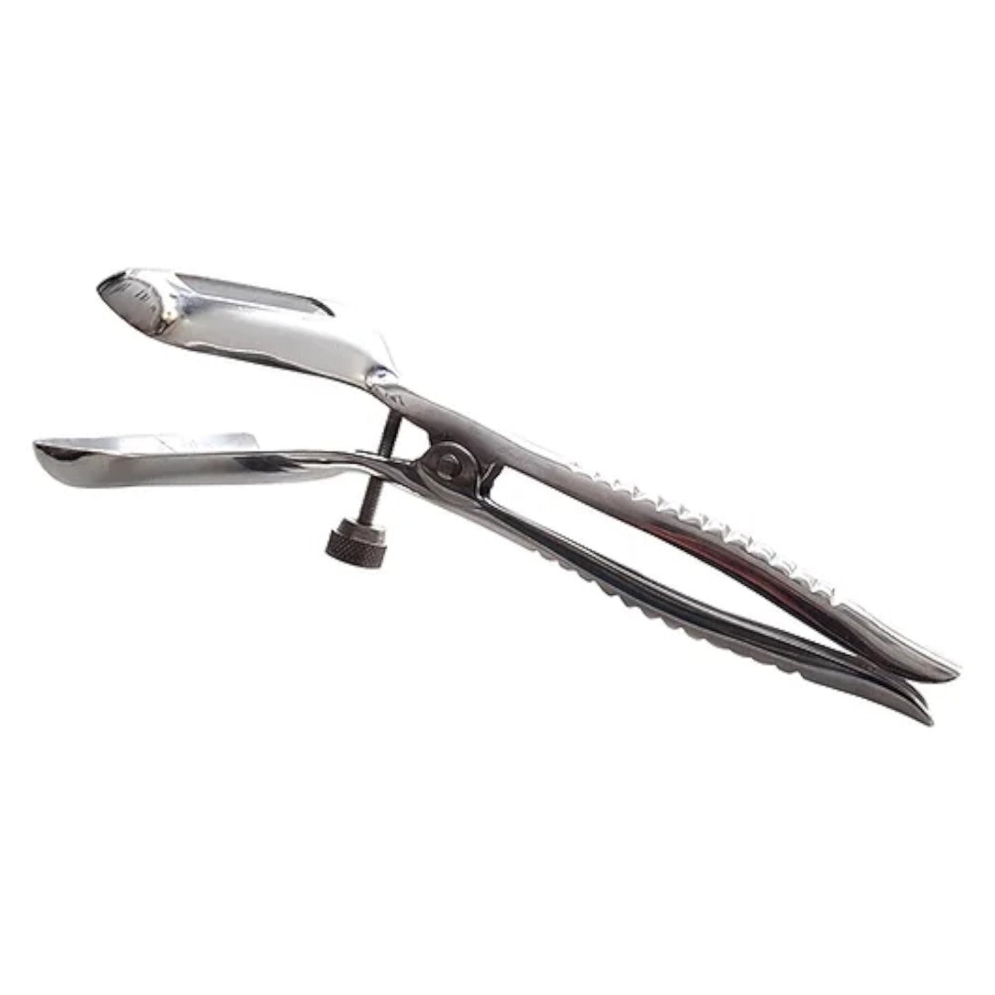 Rouge Stainless Steel Anal Speculum
