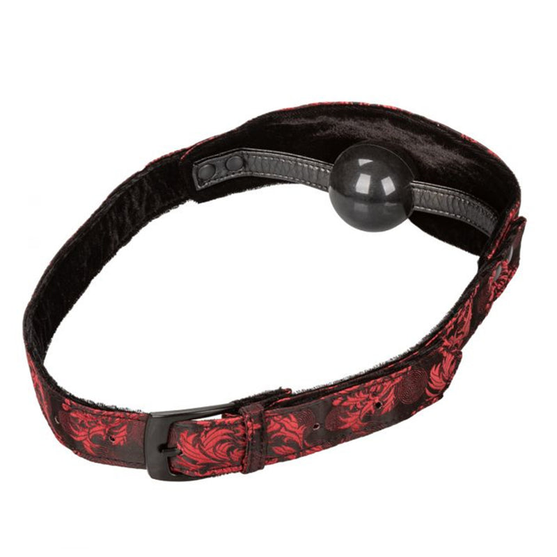 Scandal Hidden Pleasure Ball Gag