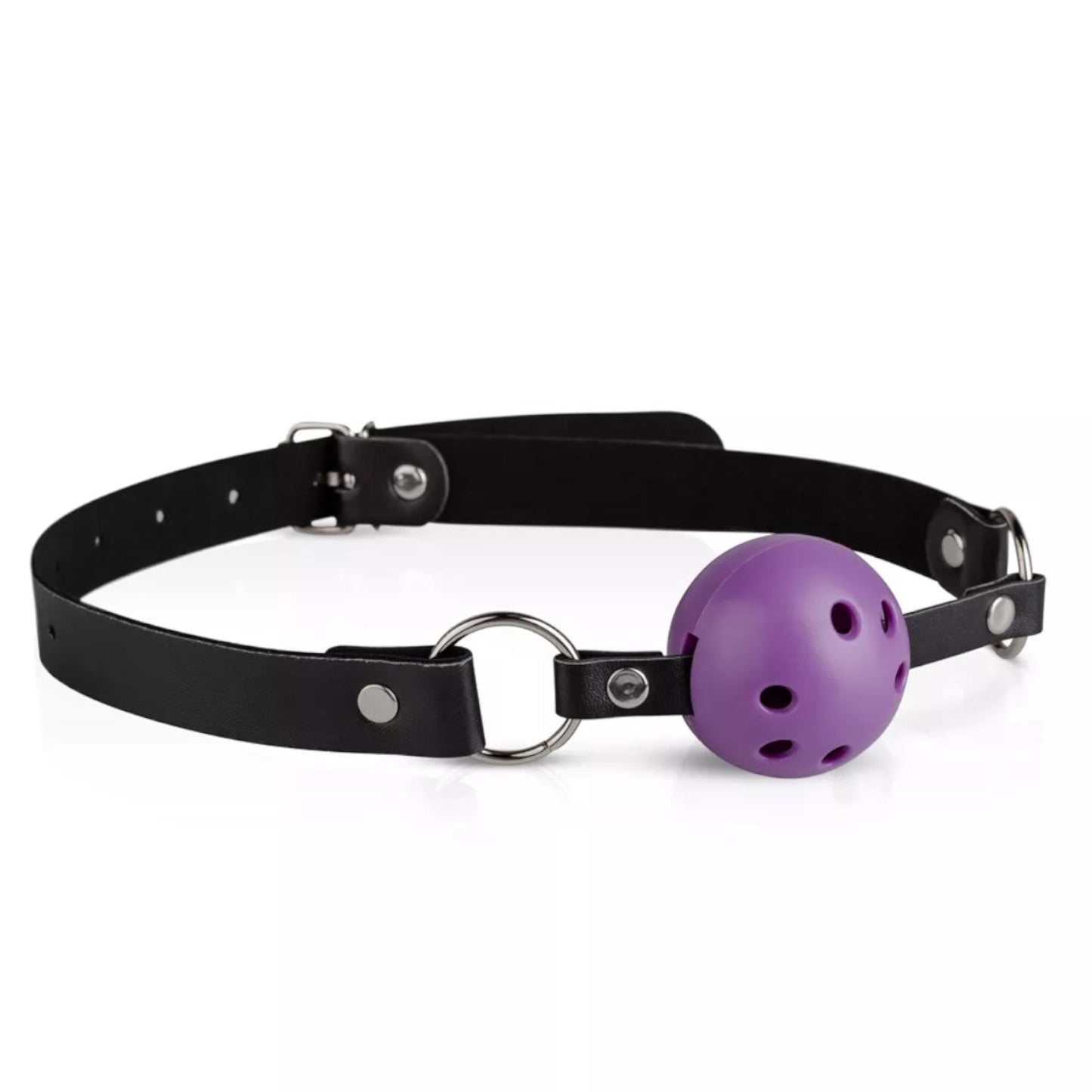 Secret Pleasure Chest Purple Apprentice Bondage Kit Purple