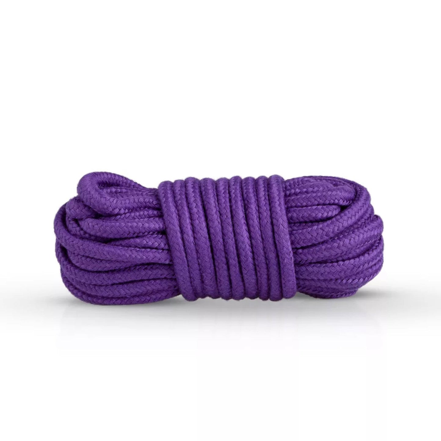 Secret Pleasure Chest Purple Apprentice Bondage Kit Purple