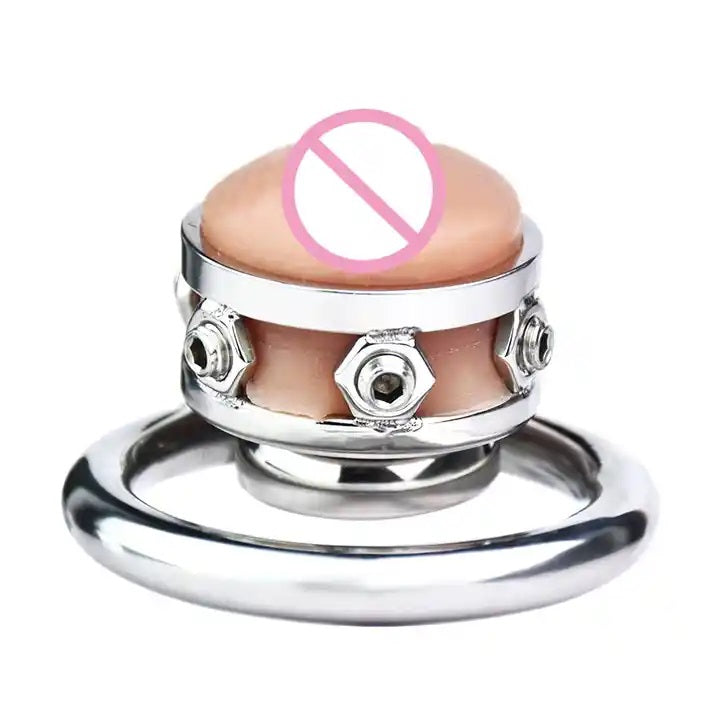 Stainless Steel Chastity Cage with Detachable Silicone Vagina Cum Pee Hole #411 (w/45mm Round Ring)