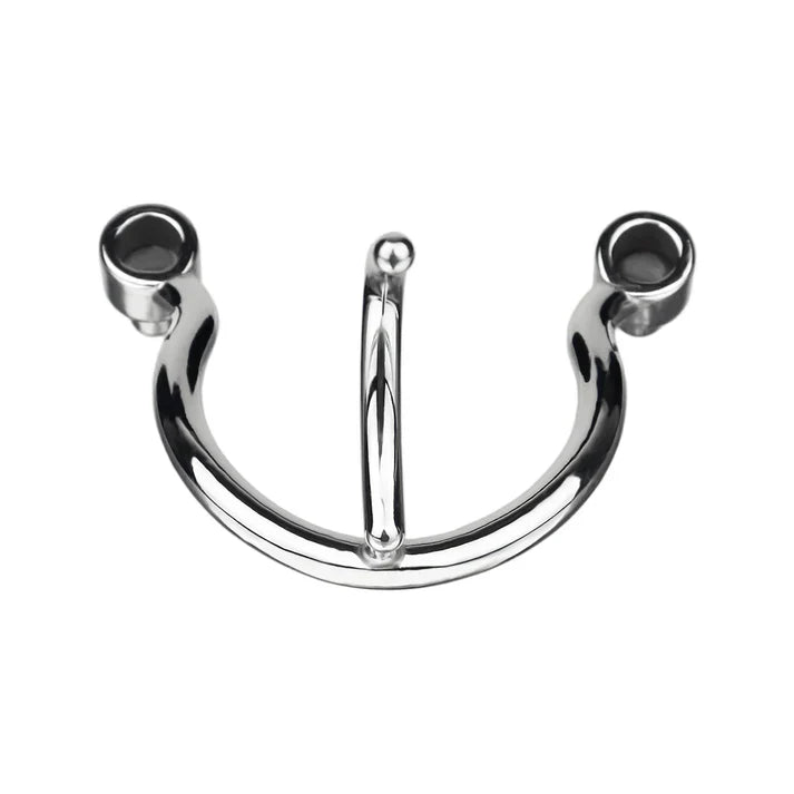 Stainless Steel Weighted Prince Albert Chastity Cage with Belt #262P [SALE]