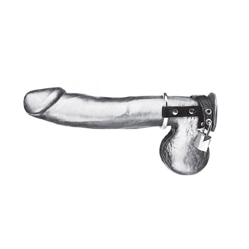 Blueline C&B Duo Cock and Ball Lock
