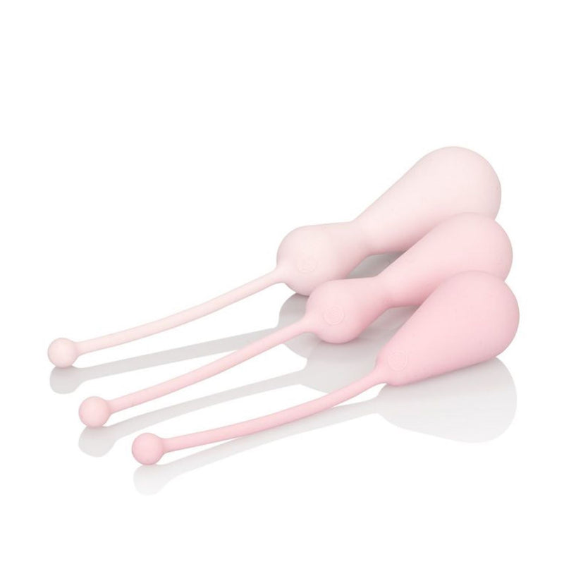 CalExotics Inspire Weighted Silicone Kegel Training Kit
