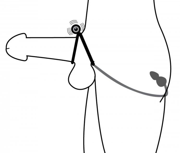 Master Series Prostatic Play Voyager 1 Vibrating Cock Ring and Anal Stimulator 65 G [Limited Period SALE*]