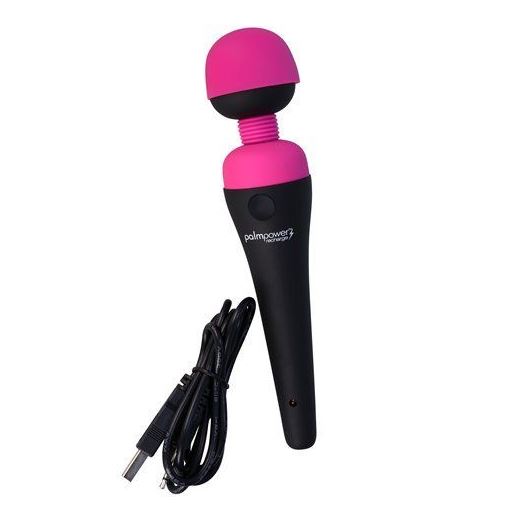 Palmpower Recharge USB Rechargeable Waterproof Massager