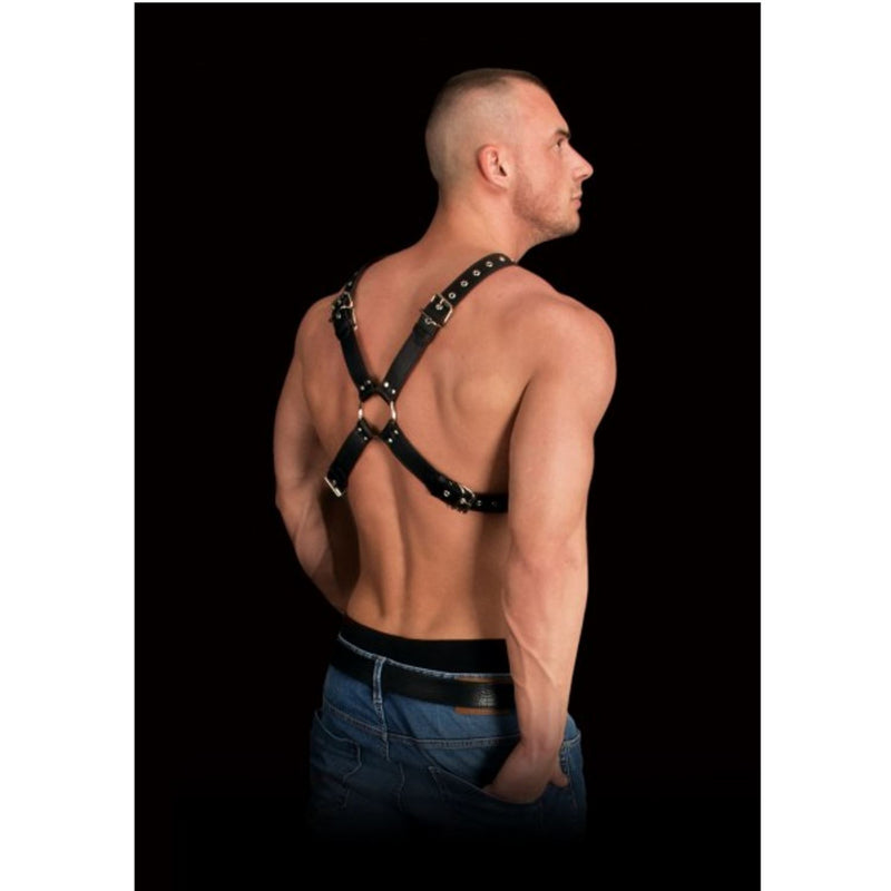 Shots Ouch! Adonis High Halter